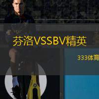  芬洛VSSBV精英